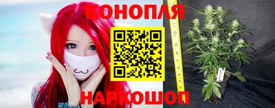 spice Беслан