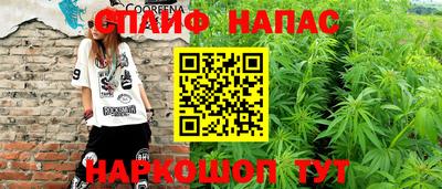 spice Беслан