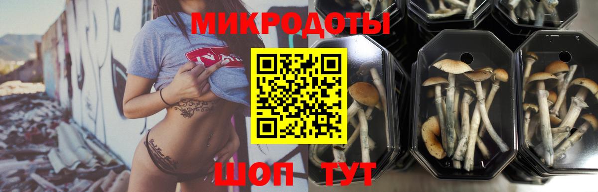 Зеленодольск  Псилоцибиновые грибы GOLDEN TEACHER  Вход с VPN 